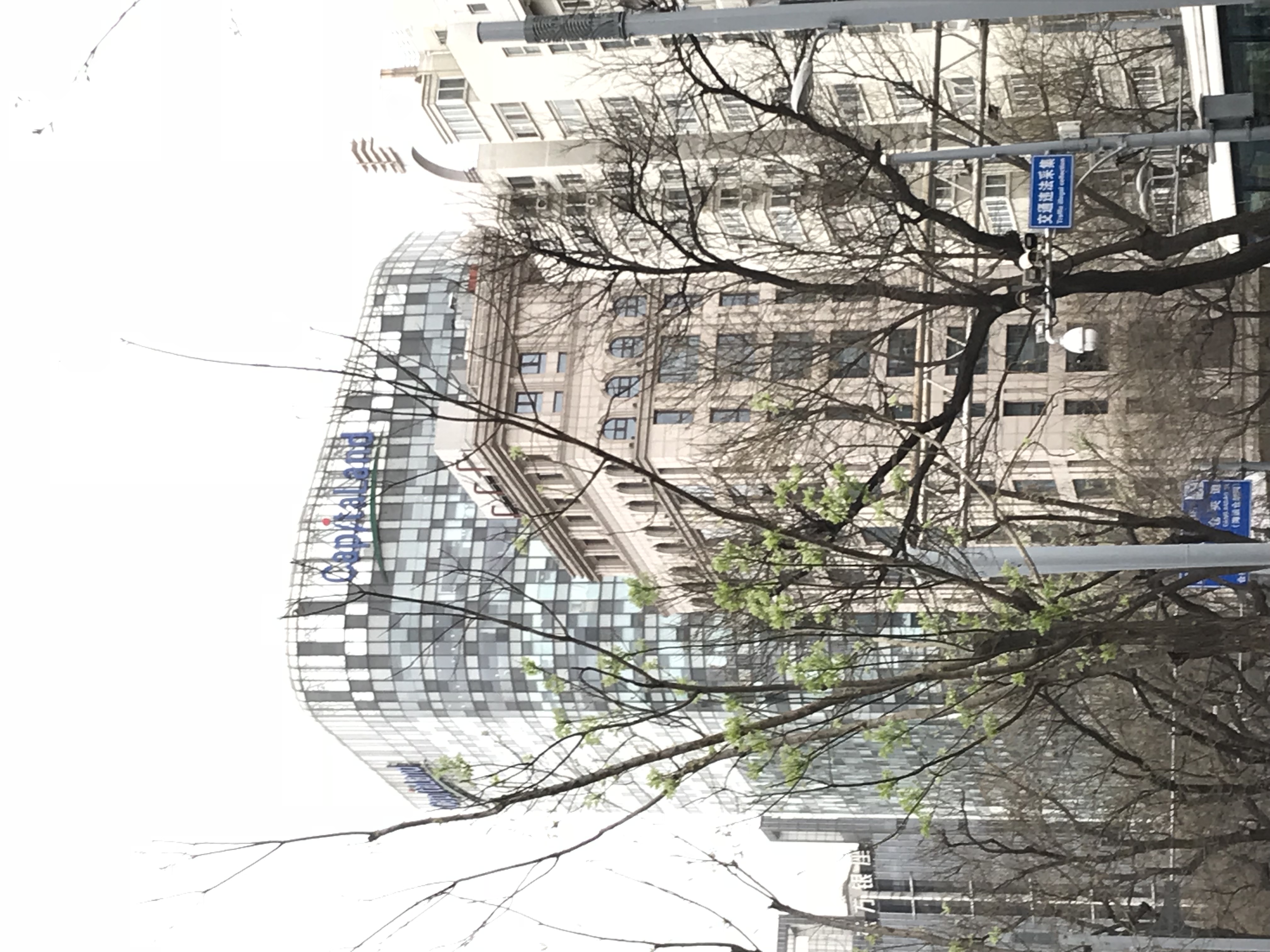 ./2018/03 - Viking China/09 - Beijing Miscellaneous/IMG_5725.JPG